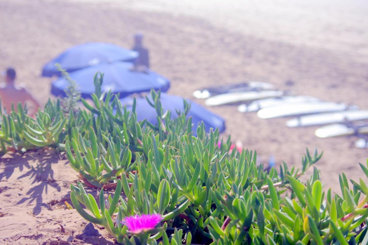 Bed and Breakfast Azrac Surf Morocco Tamraght Exterior foto